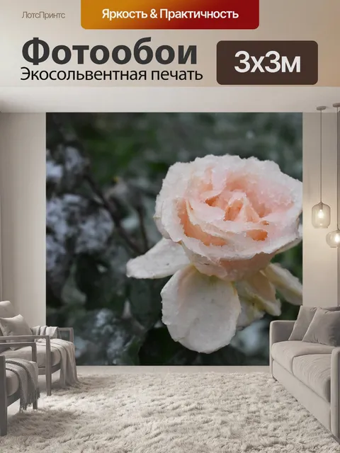 Фотообои Роза
