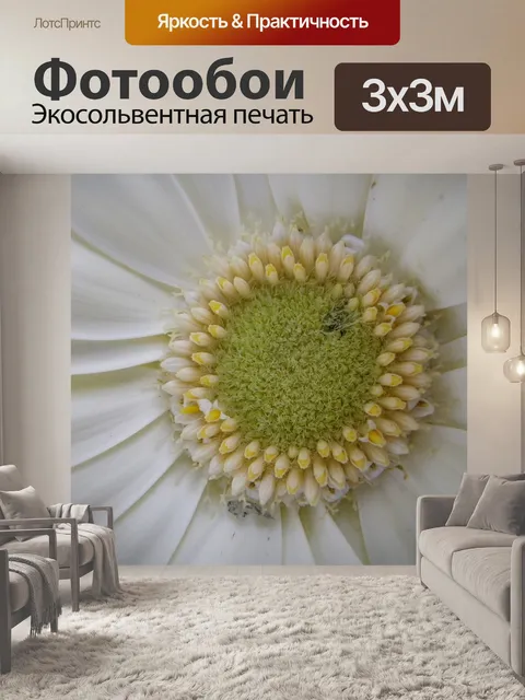 Фотообои Цветок