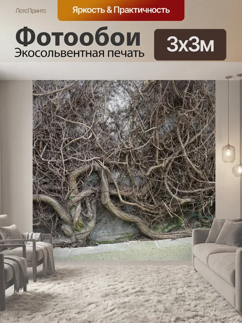 Фотообои Плющ на стене