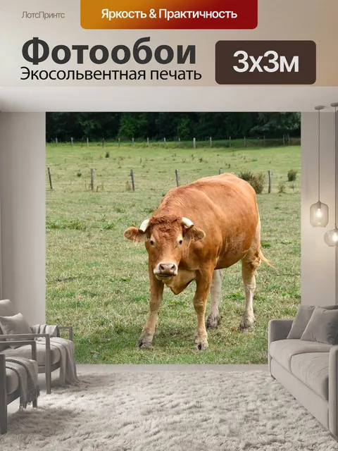 Фотообои Корова