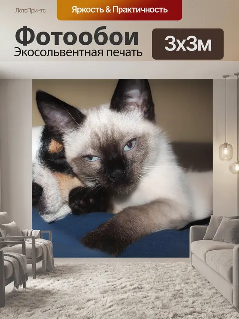 Фотообои Собака
