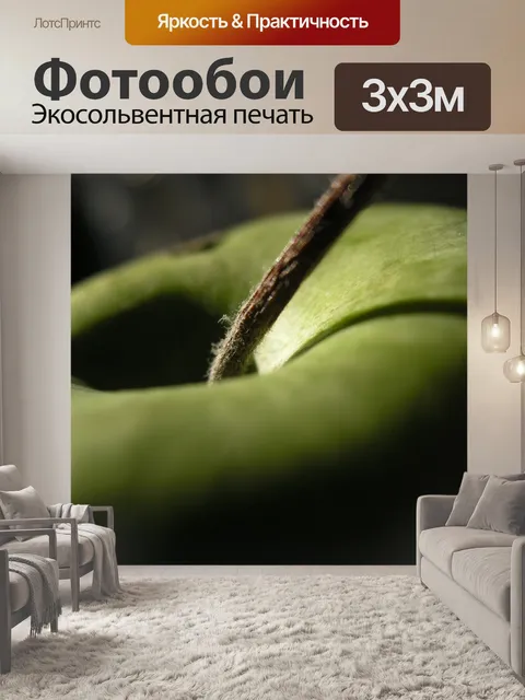 Фотообои Зеленое яблоко