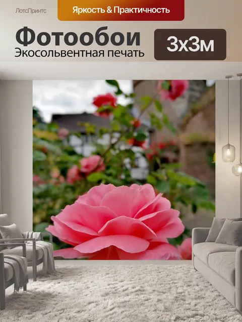 Фотообои Роза