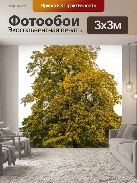 Фотообои Осеннее Дерево
