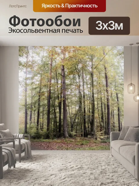 Фотообои Лес