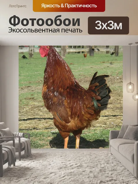 Фотообои Состав