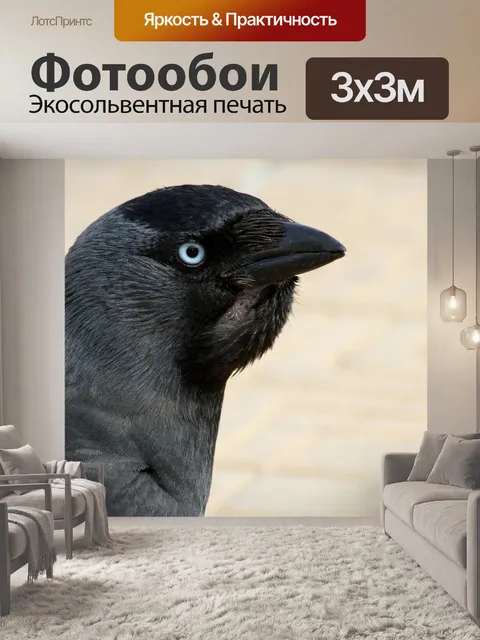 Фотообои Галка