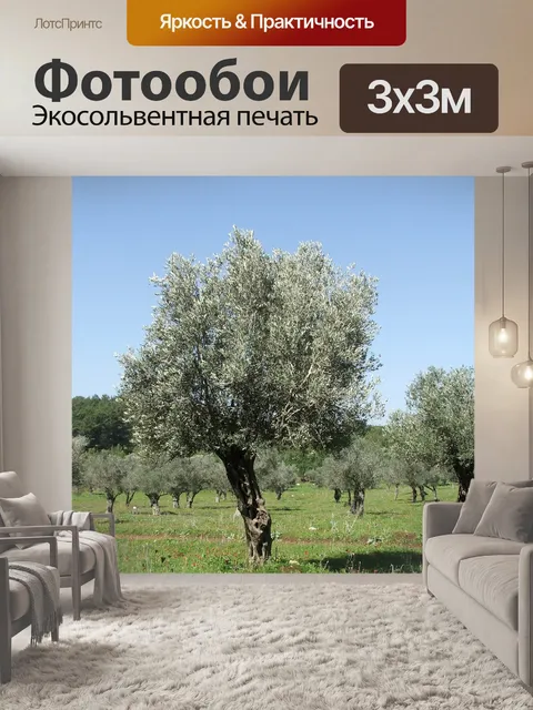 Фотообои Оливки