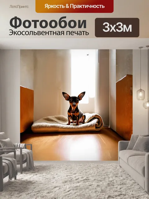 Фотообои маленькая собака, милый пинчер, сидит на уютном пледе, сложенном в