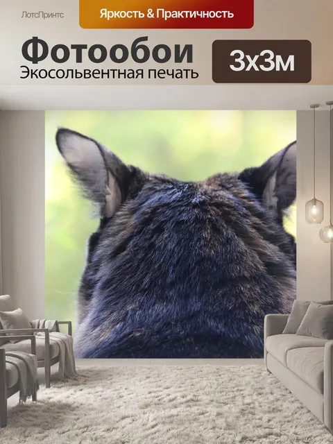 Фотообои Кот