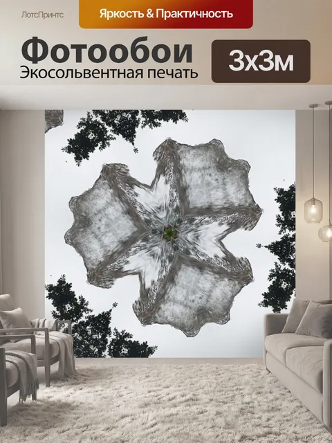 Фотообои прыжок в пруд