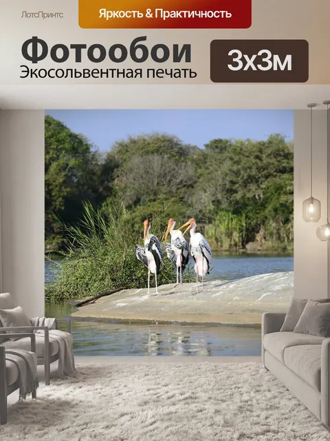 Фотообои Птицы
