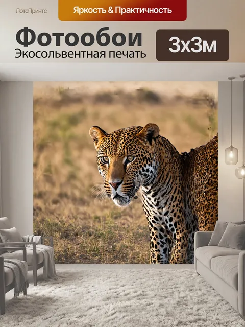 Фотообои в африканской саванне, леопард
