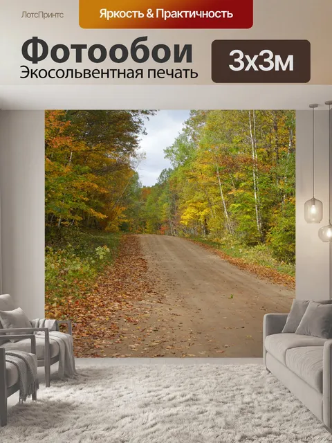 Фотообои Падение дорога