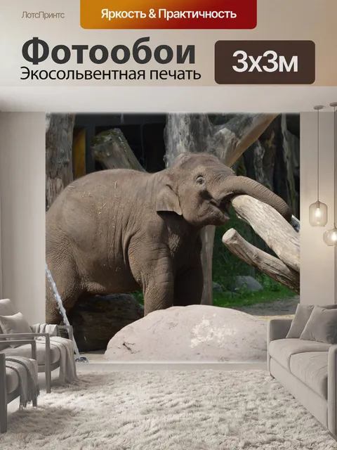 Фотообои В ванне со слонами 11