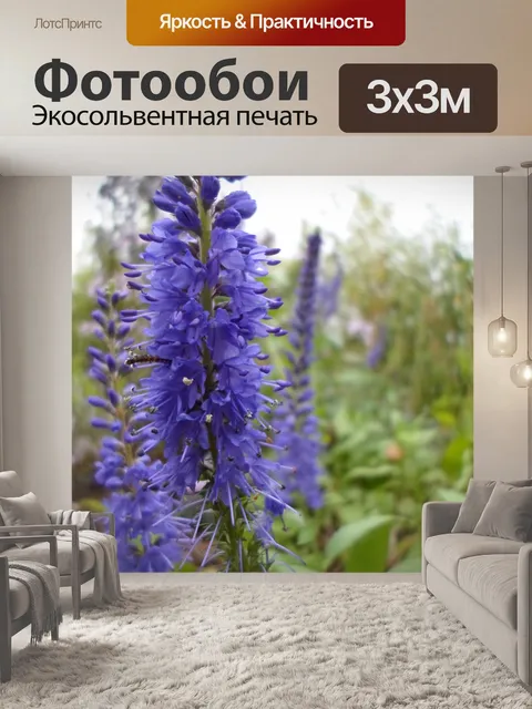 Фотообои Фиолетовый Синий цветы фиолетовые