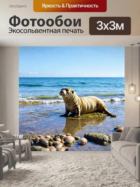 Фотообои тюлень, уютно устроившийся на скалистом берегу, наслаждается солнечными лучами