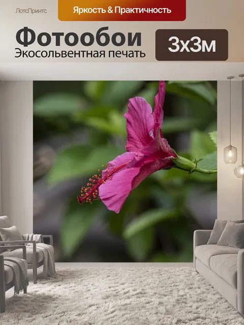 Фотообои Розовый цветок гибискуса