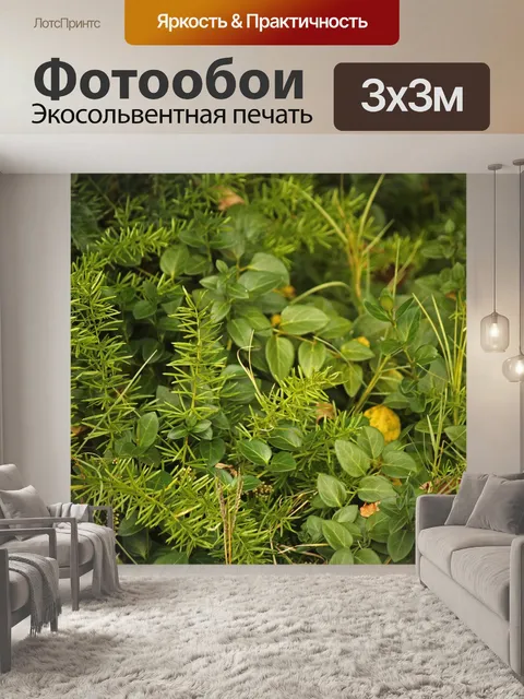 Фотообои смешанная зеленая растительность в саду