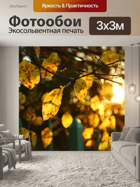Фотообои Осень