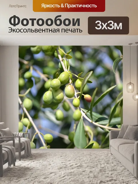 Фотообои Оливки