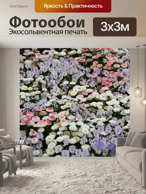 Фотообои Фиолетовый