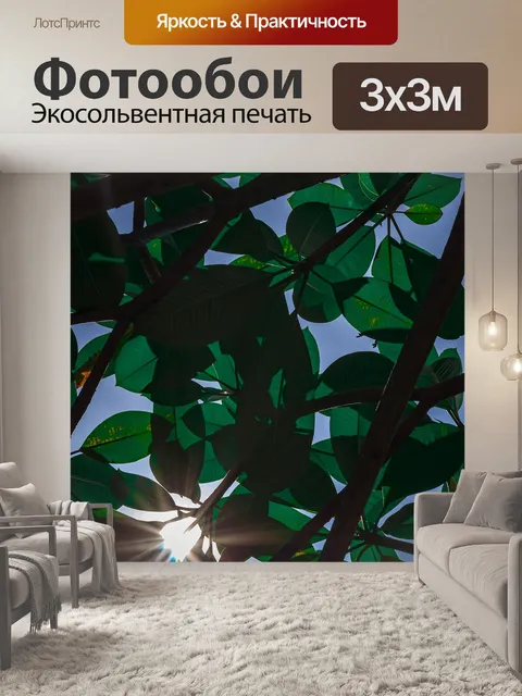 Фотообои Зеленый