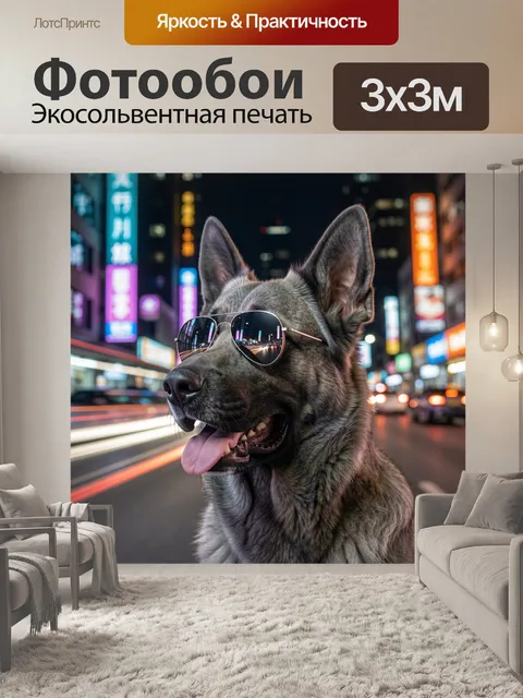 Фотообои Серый немецкий овчар с выражением дружелюбной спокойной радости
