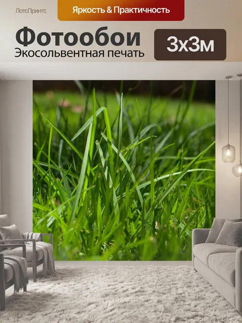 Фотообои Длинные зеленая трава
