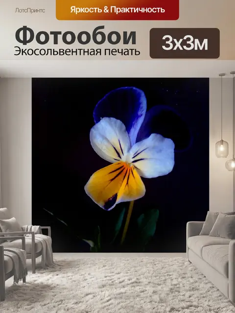 Фотообои Растения