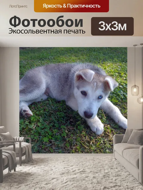 Фотообои Сибирский