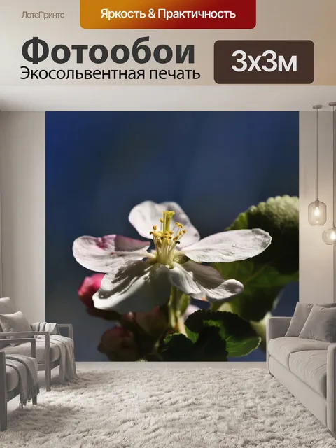 Фотообои Яблоневый цвет