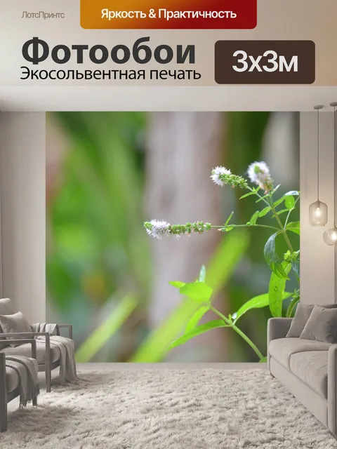 Фотообои Макросъемка