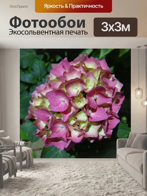 Фотообои Гортензия