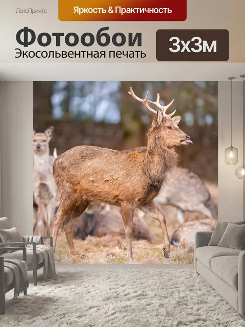 Фотообои олень