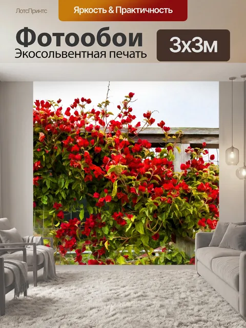 Фотообои красные цветы на заборе
