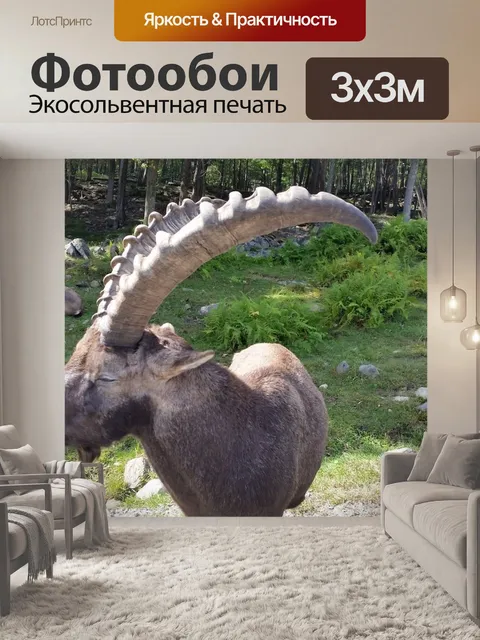 Фотообои Животное