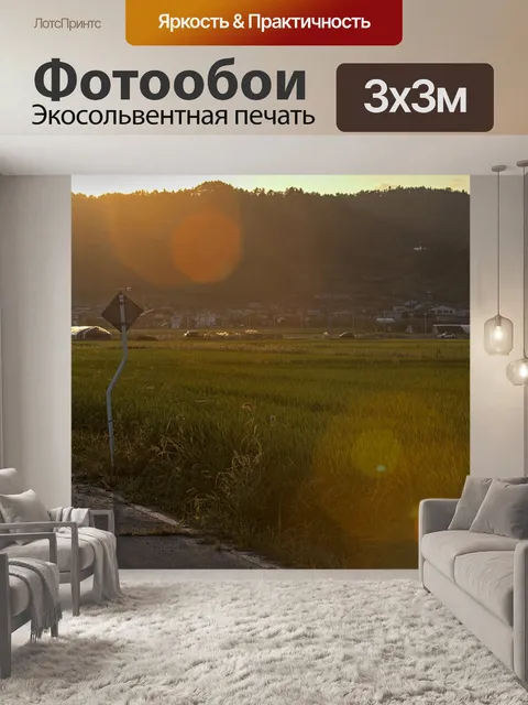 Фотообои Поле