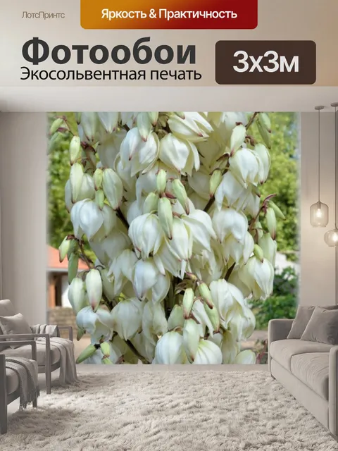 Фотообои Голландские цветы сады 91