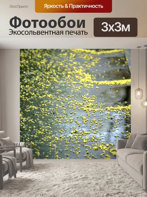 Фотообои Минск