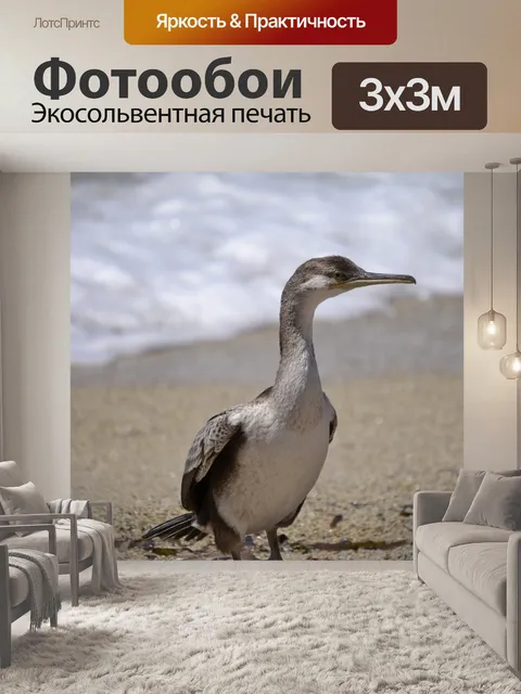 Фотообои Птица