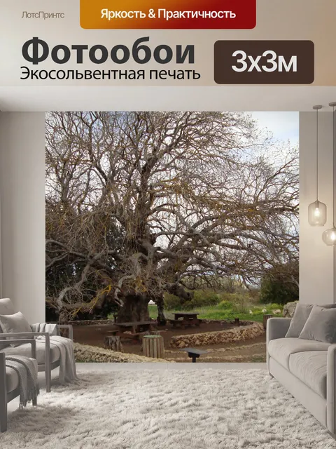 Фотообои Северный Израиль