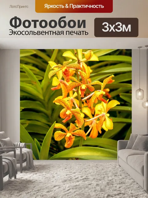 Фотообои Цветок орхидеи