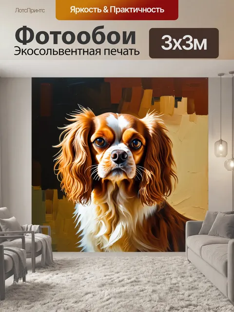 Фотообои изображение головы кавалер кинг чарльз спаниеля с акцентом на свет и тень