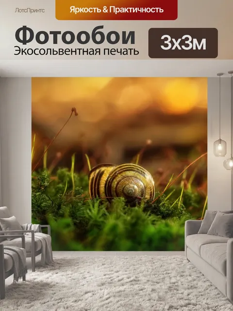 Фотообои Раковина улитки моховый лес