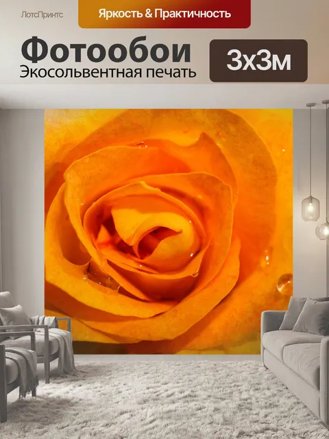 Фотообои Роза в саду