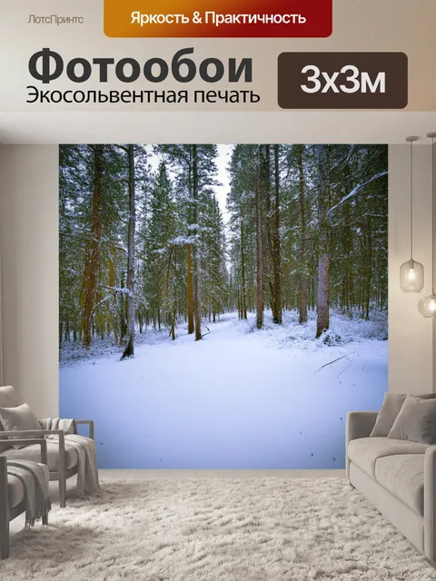 Фотообои в спокойном зимнем лесу