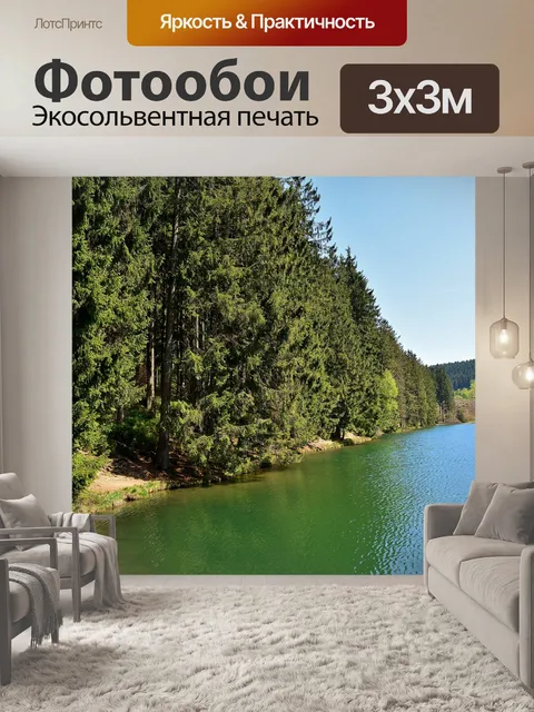 Фотообои Опушка леса