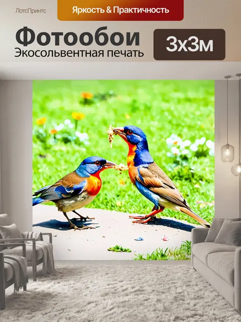 Фотообои птицы в момент кормления в весеннем парке