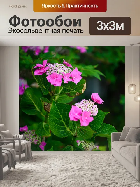 Фотообои Гортензия